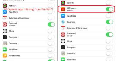 iOS 11 Cellular Data jilaxzone.com app missing and appear on Cellular Data