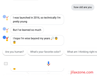 DIY Smart Speaker jilaxzone.com Google Assistant how old are you