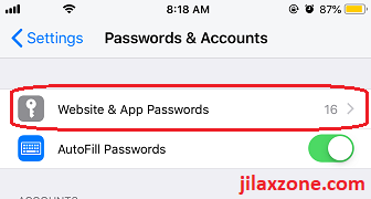 iCloud Keychain Website and App Passwords jilaxzone.com