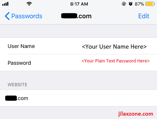 iCloud Keychain password stored in plain text jilaxzone.com