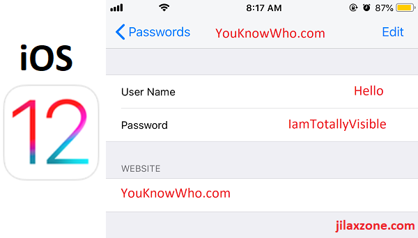 iOS 12 password stored in plain text iCloud Keychain jilaxzone.com