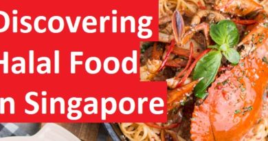 HalalFoodHunt discovering halal food in singapore jilaxzone.com